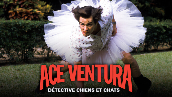 Ace ventura détective chiens et promo chats